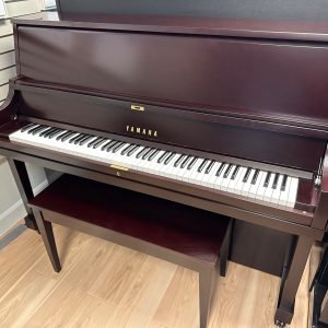 Yamaha P22