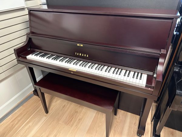 Yamaha P22