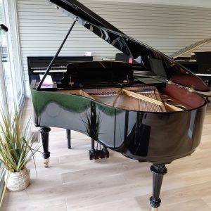 Ritmüller GP-142R Petite Baby Grand